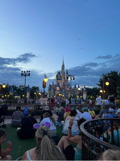 Image for: Trip Report #1: Shades of Green - How a Walk Led Us to DVC - 7/28/22-8/6/22