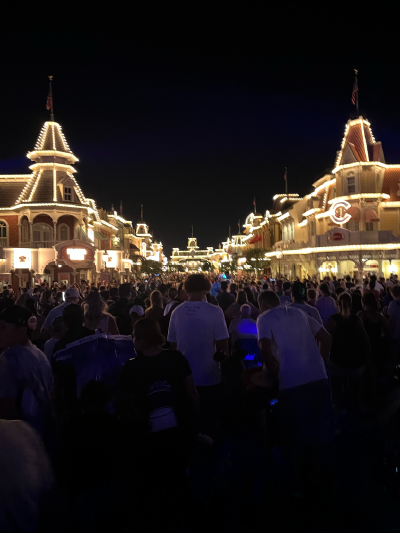Image for: Trip Report #1: Shades of Green - How a Walk Led Us to DVC - 7/28/22-8/6/22